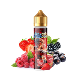 Flacon e-liquide Cosmic Rush 50ml Pegasus saveur fruits rouges