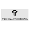 Teslacigs Box Mods Punk & Matériel de Vape Robuste France Vapote